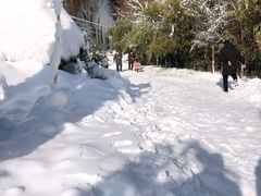 -少华山国家森林公园