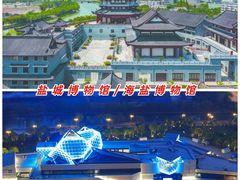 -荷兰花海