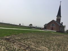 -南通鲜花小镇