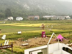 -长沙黑麋峰国家森林公园