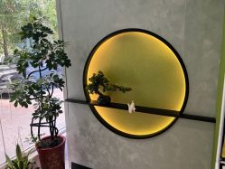 -北京豆豆博士专业祛痘