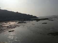 -汤山公园