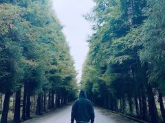 -山王坪喀斯特国家生态公园