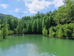 -广州市帽峰山景区