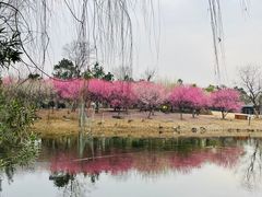 -武汉园博园(武汉自然博物馆)