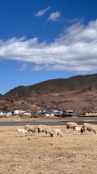 -纳帕海依拉草原