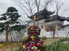-苏州上方山国家森林公园