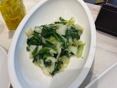 -丁老爷子苏香圆
