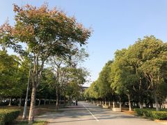 -尚贤河湿地
