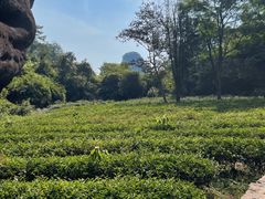 -武夷山风景名胜区-虎啸岩
