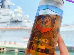 -泰达航母主题公园