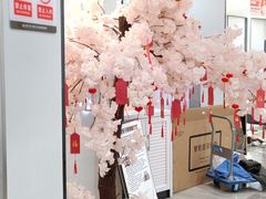 -牙博士口腔品牌连锁(杨浦店)