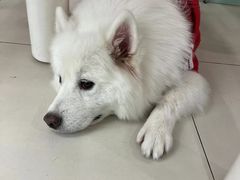 -怪兽屋·羊驼·猫咖·狗咖(俊华广场店)