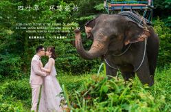 -四叶草环球旅拍