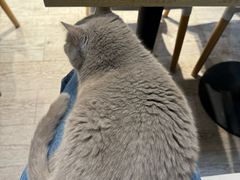 -小时光咖啡馆(北锣鼓巷店)