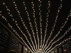 -杭州香格里拉饭店