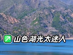 -北京中信金陵酒店