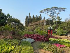 -荔枝公园(福田区)