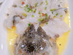 -暖见鱼·自家农场生态鱼