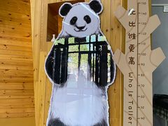 -满天星幼儿园(北京太阳宫园)