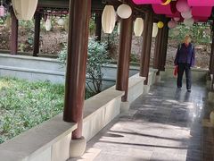 -杭州半山国家森林公园