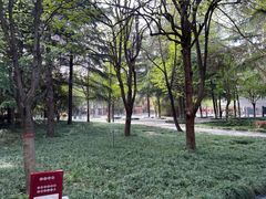 -木塔寺遗址生态公园