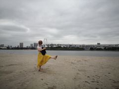 -台场海滨公园船码头