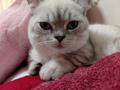 -王允海动物医院(中央大街店)