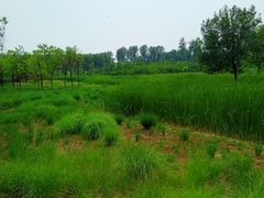 -东郊湿地公园