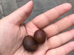 -粒上皇(淮河路步行街店)