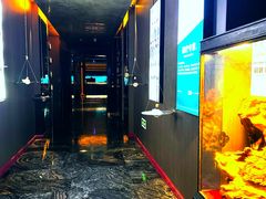 -索拉古贝(义乌北苑店)