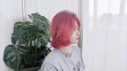 -艺之剪