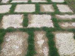 android_upload_pic-长兴太湖图影湿地文化园