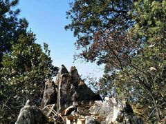 -塔云山