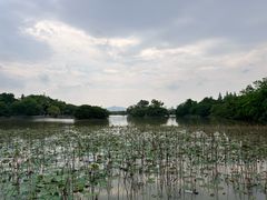-江心屿景区