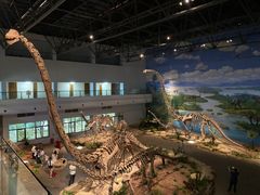 -自贡恐龙博物馆
