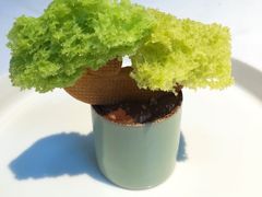 -狮拾久·现代新加坡料理(福田COCO Park店)