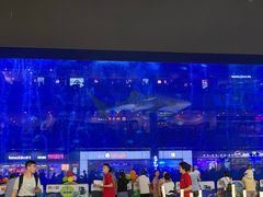 -成都浩海立方海洋公园