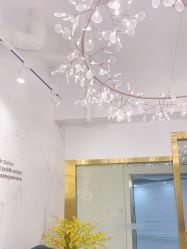 -潘多拉Hairsalon
