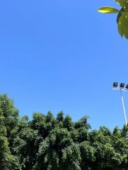 -加帕瑜伽培训学院