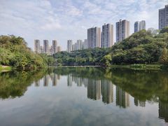 -重庆彩云湖湿地公园