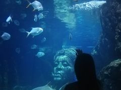 -暹罗海洋世界