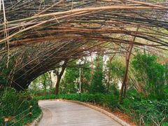 -人民公园(罗湖区)