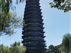 -红梅公园