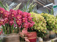-双季花艺园艺市场(浦东店)