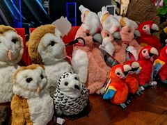 -天津君隆威斯汀酒店