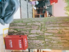-渔香岛美蛙鱼头火锅(威清路店)