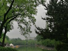 -莲湖公园