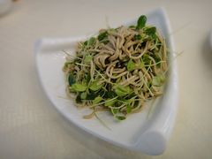 -惠丰堂饭庄(北洼路店)