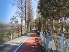 -上海长兴岛郊野公园